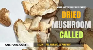 The World's Priciest Fungus: Unveiling the Super Expensive Dried Mushrooms