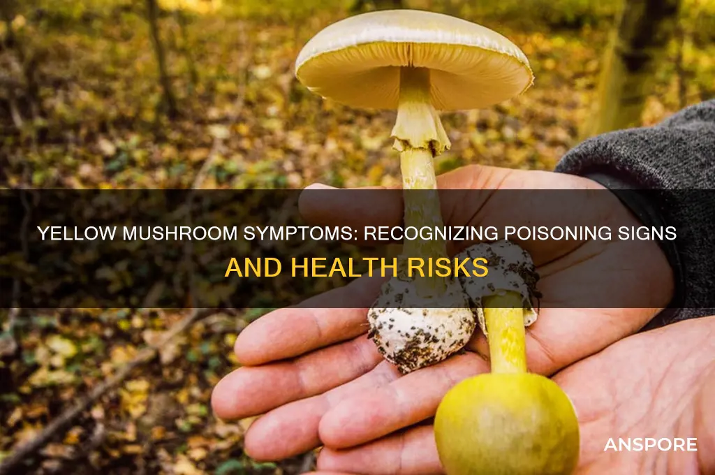what are the symptoms of consuming yellow mushroom