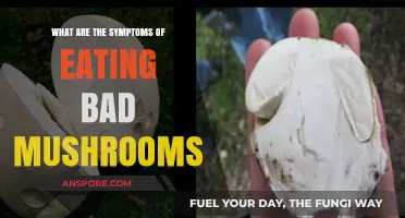 Symptoms of Eating Bad Mushrooms: Recognizing Poisoning Signs and Risks