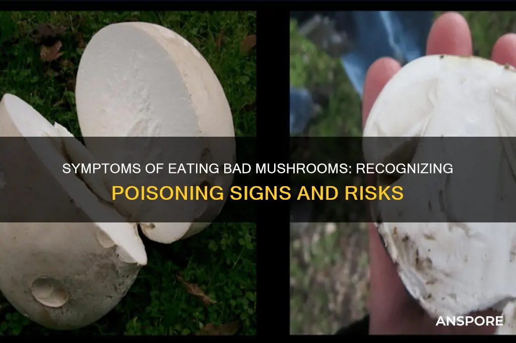 what are the symptoms of eating bad mushrooms
