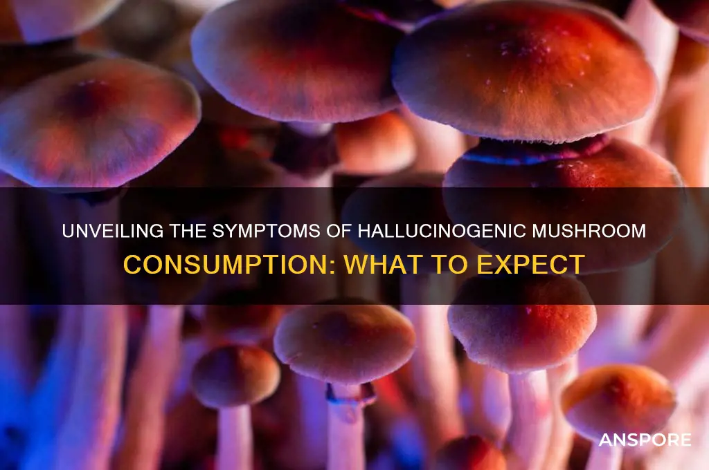 what are the symptoms of hallucinogenic mushrooms
