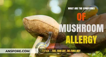Recognizing Mushroom Allergy Symptoms: Signs, Reactions, and Prevention Tips