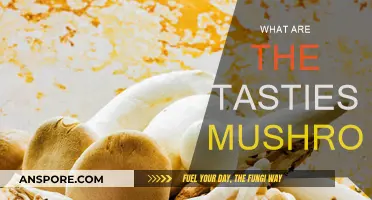 Mushroom Delicacies: The Ultimate Taste Test