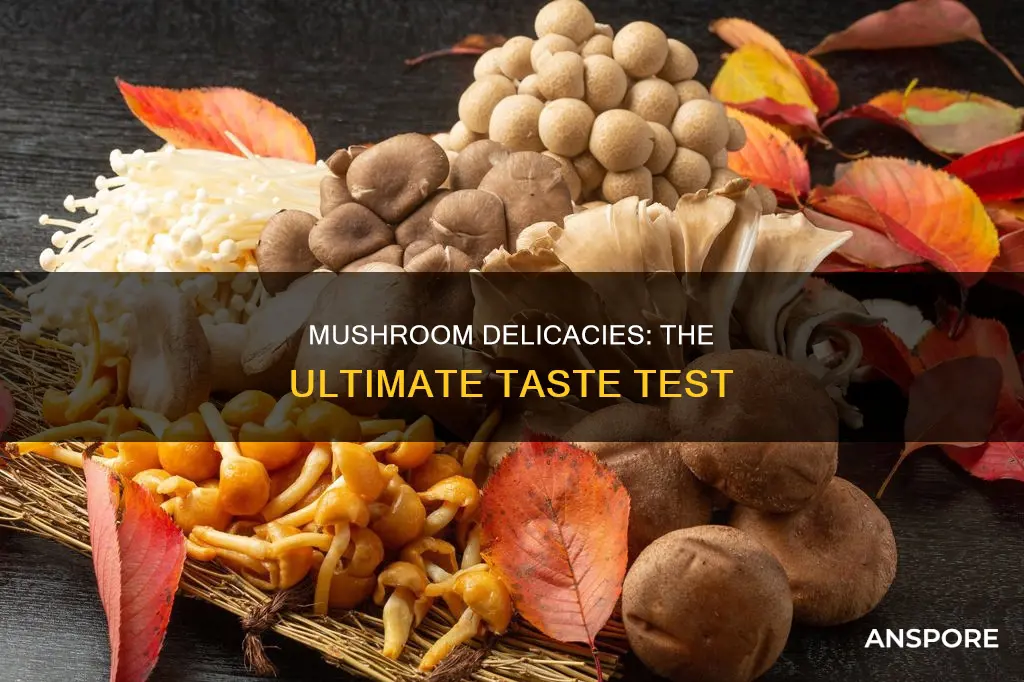 what are the tastiest mushrooms
