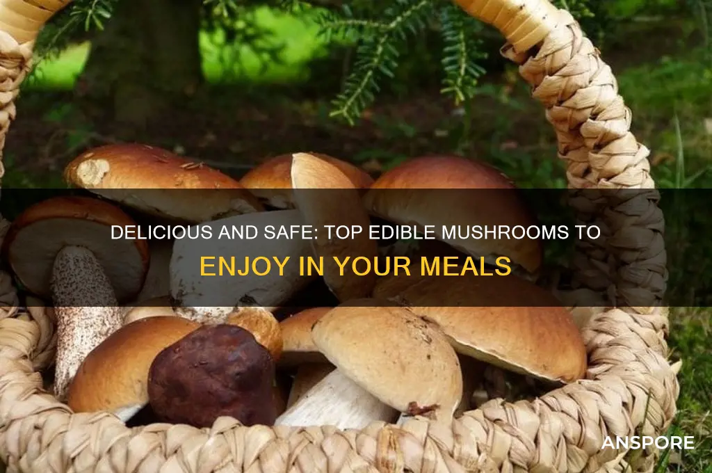 what are the top edible mushrooms you can eat