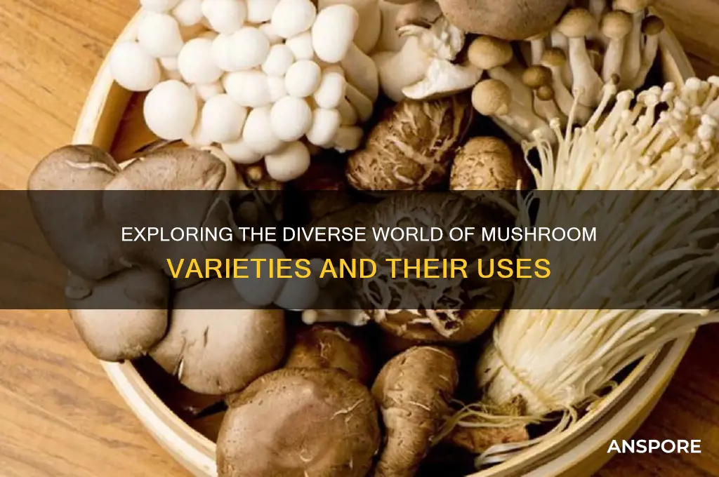 what are the varieties of mushrooms