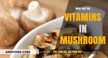 Mushrooms' Hidden Power: Unveiling Essential Vitamins for Health and Wellness