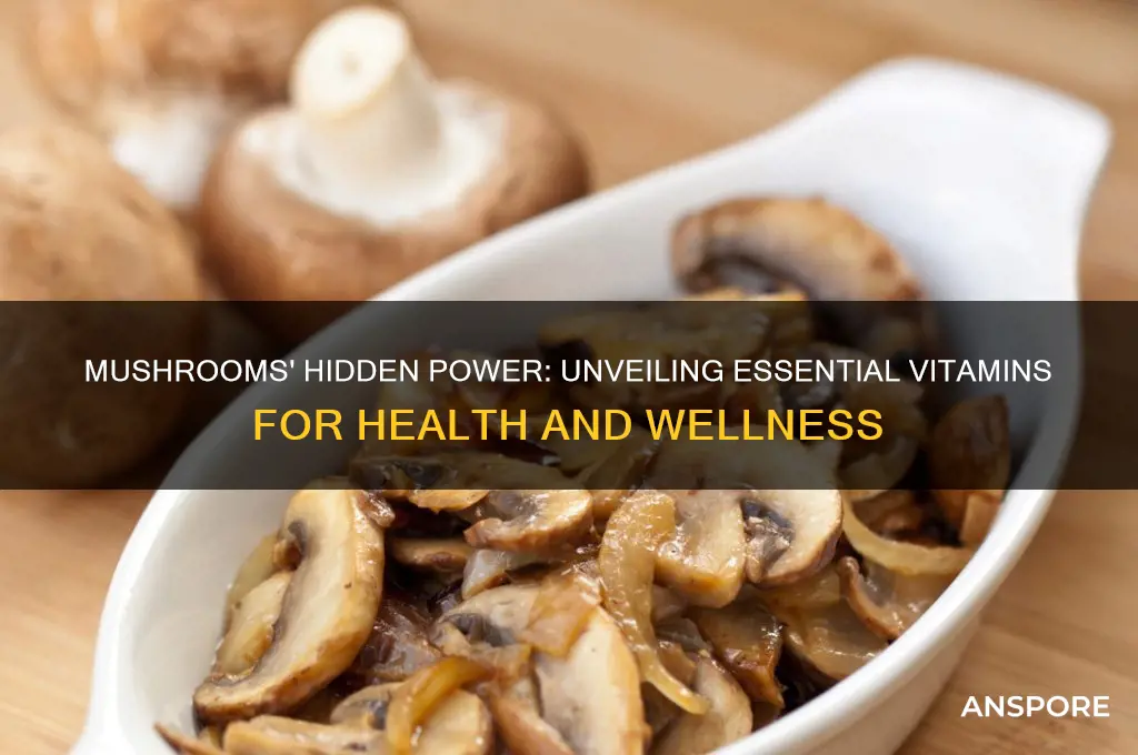 what are the vitamins in mushrooms
