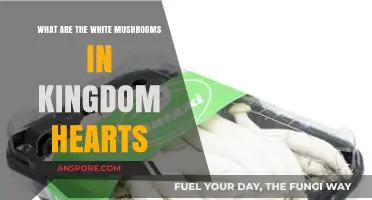 Unveiling the Mystery of White Mushrooms in Kingdom Hearts