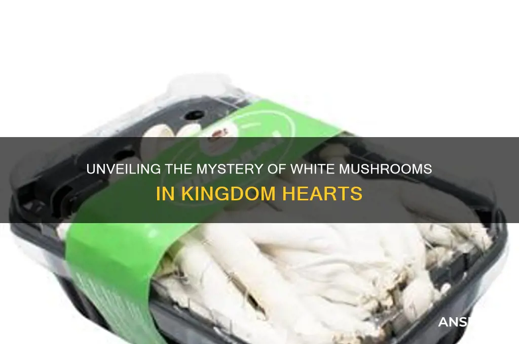 what are the white mushrooms in kingdom hearts