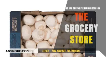 Unveiling the Common White Mushrooms Found in Grocery Stores