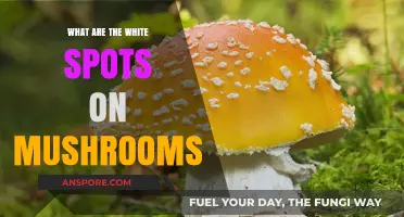 Understanding White Spots on Mushrooms: Causes, Safety, and Identification Tips