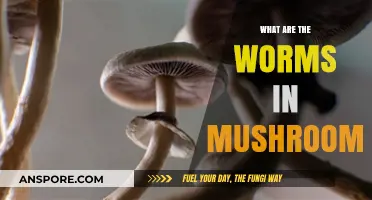 Unveiling the Mystery: Worms in Mushrooms Explained