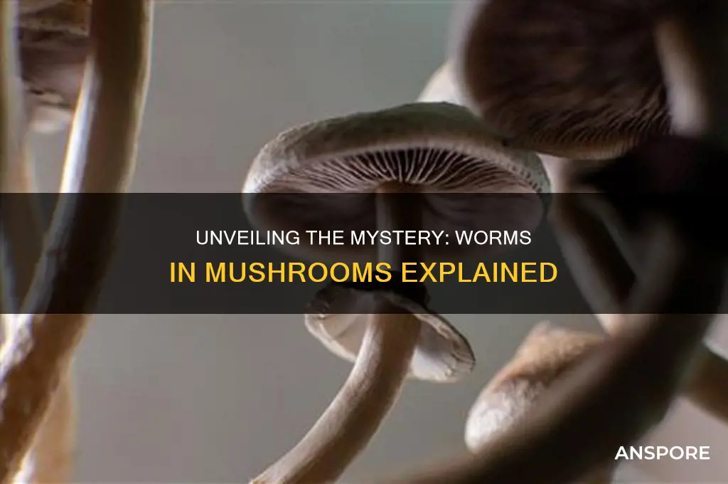 what are the worms in mushrooms