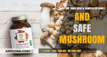 Discover the Surprising Health Benefits of Edible Mushrooms