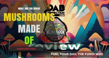 Exploring Tre House Mushrooms: Ingredients, Benefits, and Unique Composition