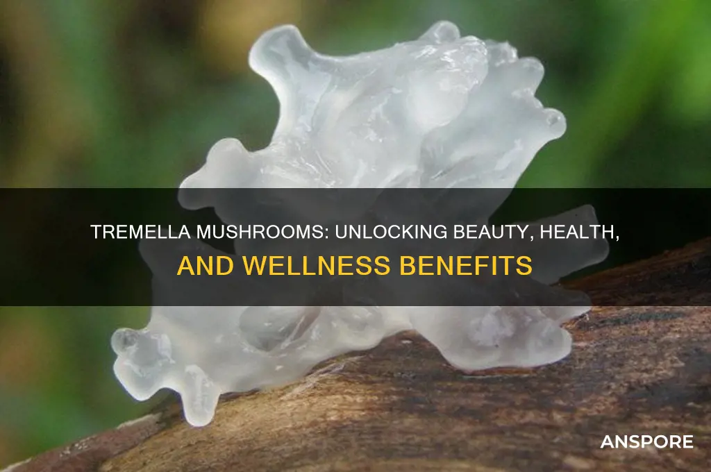 what are tremella mushrooms good for