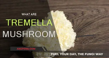 Tremella Mushrooms: Nature's Superfood for Skin and Health