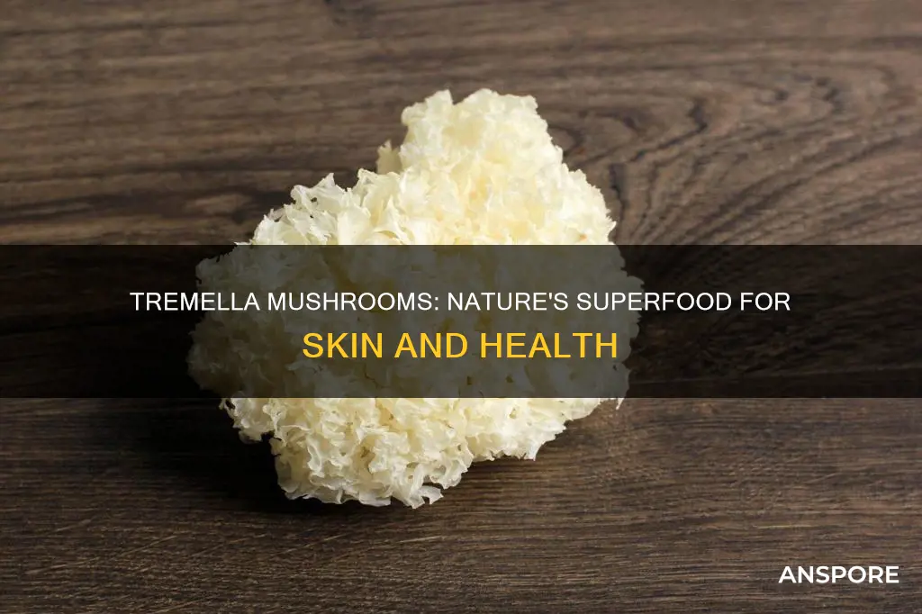 what are tremella mushrooms