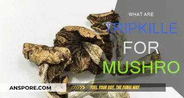 Tripkillers: Ending a Bad Mushroom Trip