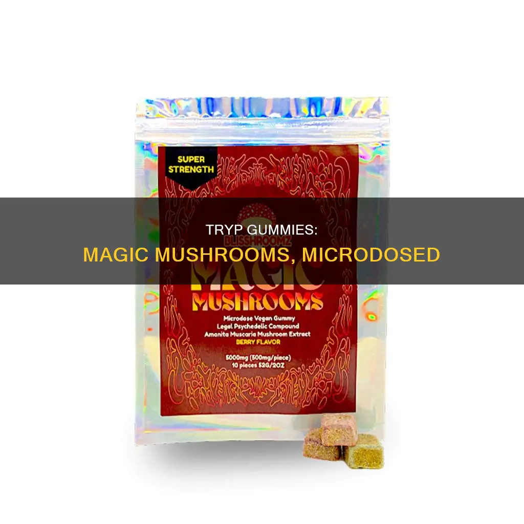 what are tryp mushroom gummies