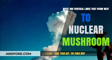 Unveiling the Mystery of Vertical Lines in Nuclear Mushroom Clouds