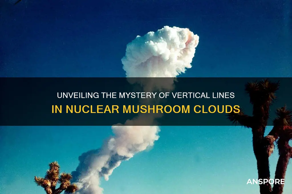 what are vertical lines that form next to nuclear mushroom