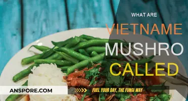Exploring the Unique World of Vietnamese Mushrooms