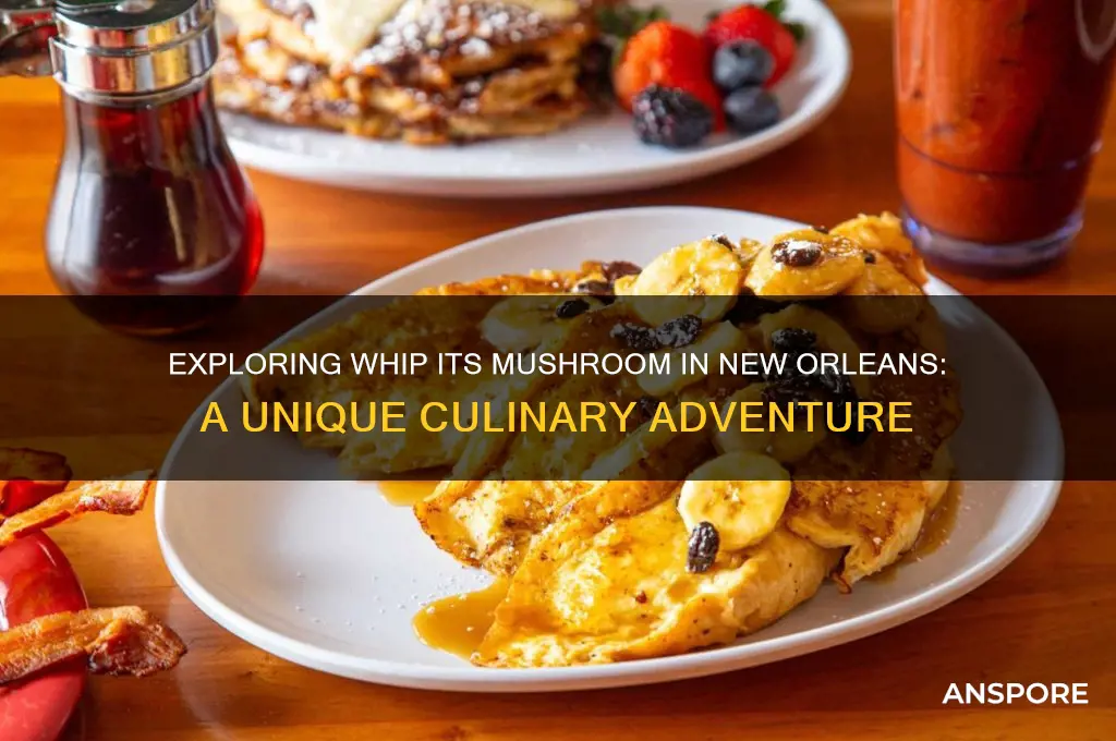 what are whip its mushroom new orleans