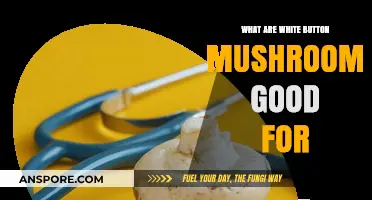 White Button Mushrooms: Surprising Health Benefits and Culinary Uses