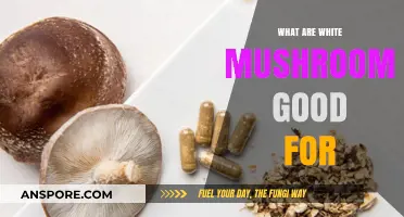 White Mushrooms: Nutritional Benefits and Culinary Uses Explained