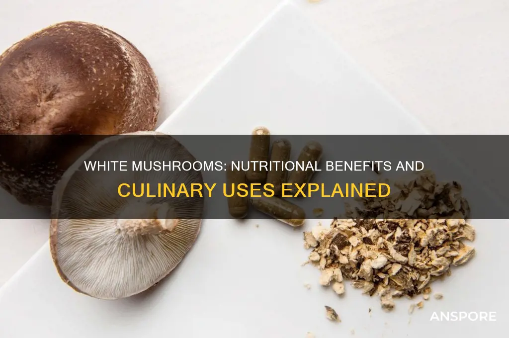 what are white mushrooms good for