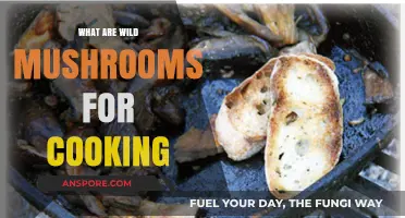 Exploring Wild Mushrooms: A Culinary Guide for Home Cooks