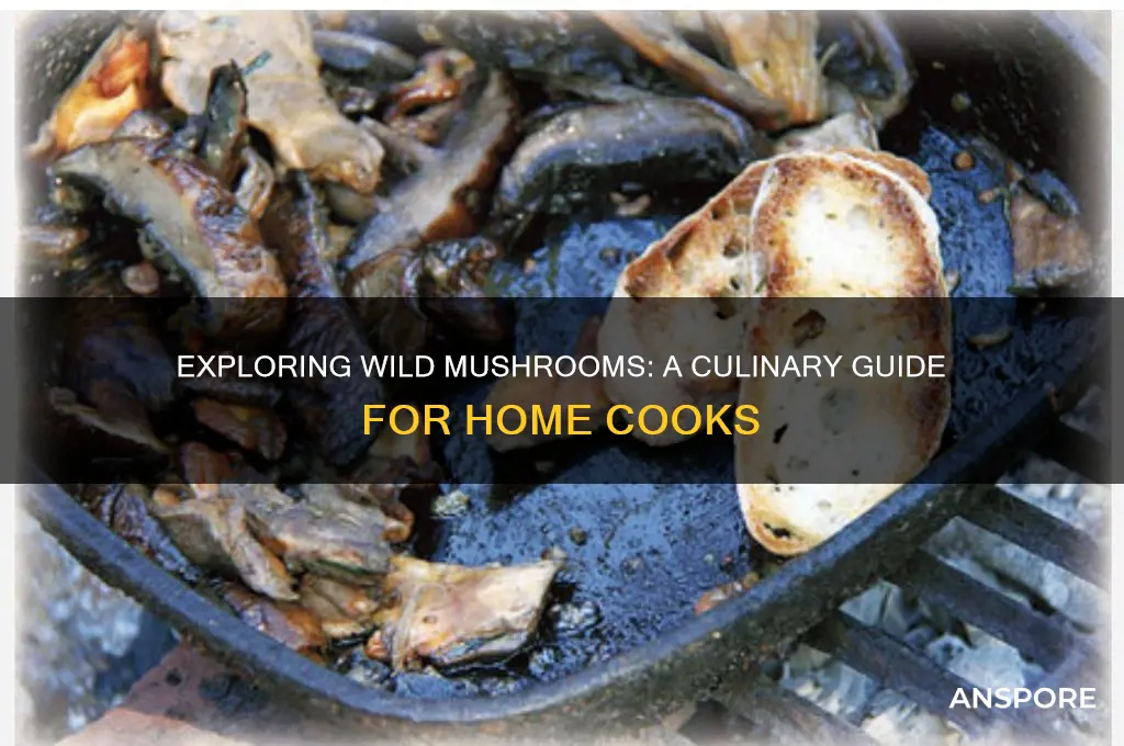 what are wild mushrooms for cooking