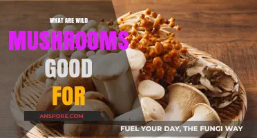 Discover the Surprising Health Benefits of Wild Mushrooms Today