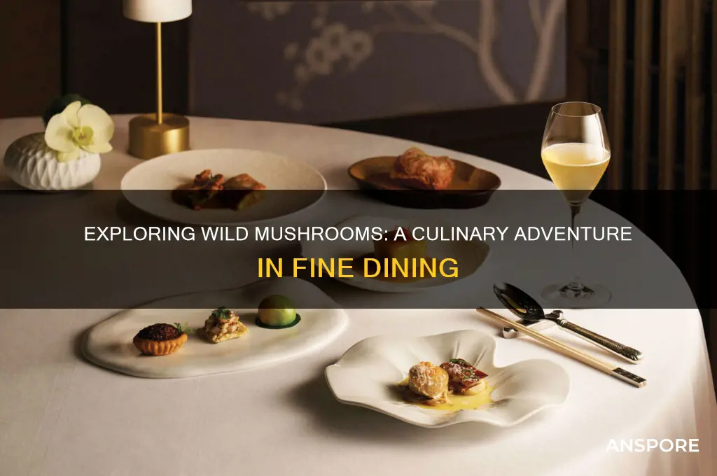 what are wild mushrooms in a restaurant