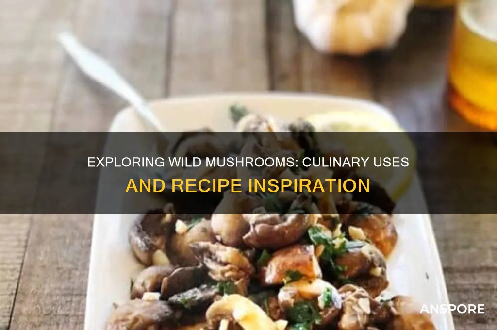 what are wild mushrooms in recipe