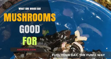 Wood Ear Mushrooms: Health Benefits, Culinary Uses, and Nutritional Value