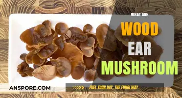 Wood Ear Mushrooms: Nature's Unusual Delicacy
