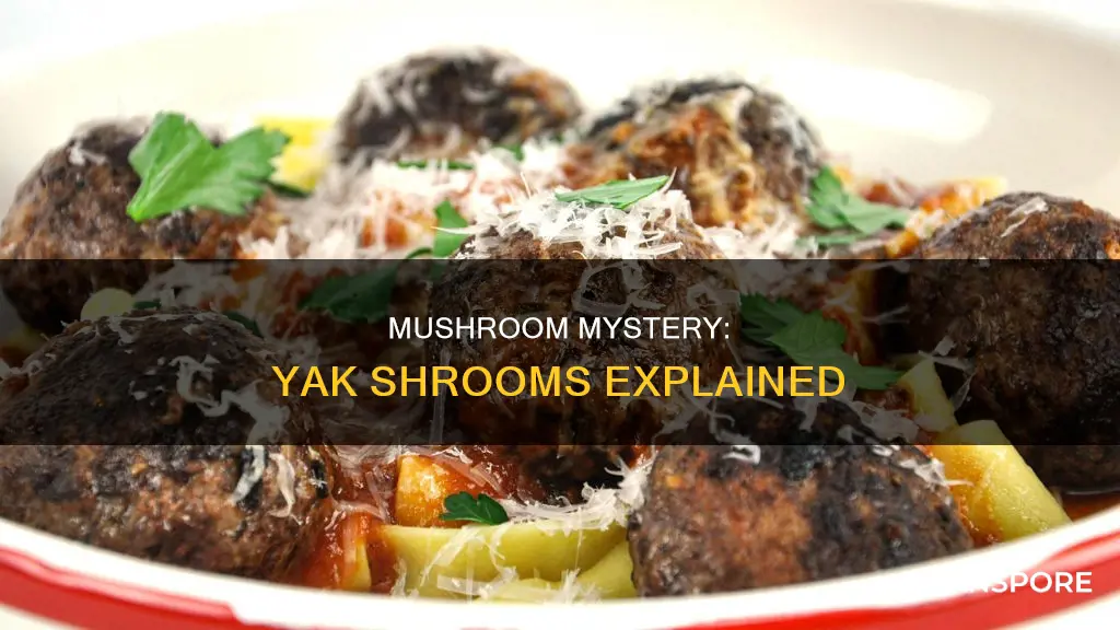 what are yak mushrooms
