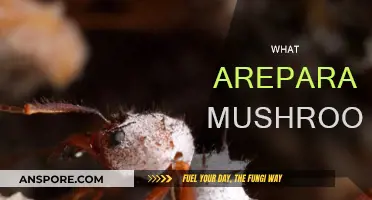 Mushrooms' Parasitic Nature: Intriguing Intruders