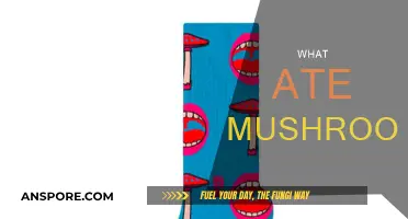 Mushrooms: A Tasty Treat for Wildlife and Humans