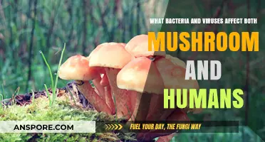 Shared Pathogens: Bacteria and Viruses Impacting Mushrooms and Humans