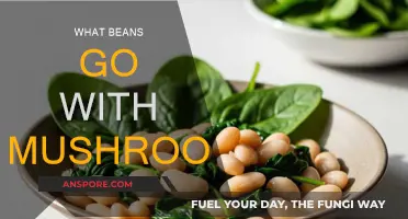 Mushroom and Bean Pairing Guide for a Delicious Dish