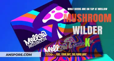 Discover Mellow Mushroom Wilder K's Craft Beer Tap Selection