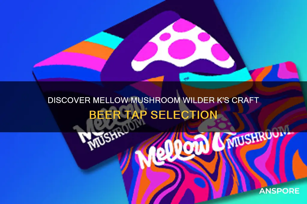 what beers are on tap at mellow mushroom wilder k