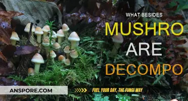 Mushrooms and Other Decomposers: Nature's Recycling Team