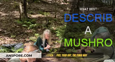 Mushrooms: Nature's Magical, Edible Fungi