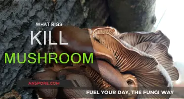 Mushroom Killers: The Big Threats to Fungi