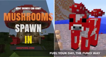 Where Do Giant Mushrooms Spawn? Exploring Compatible Biomes in Minecraft